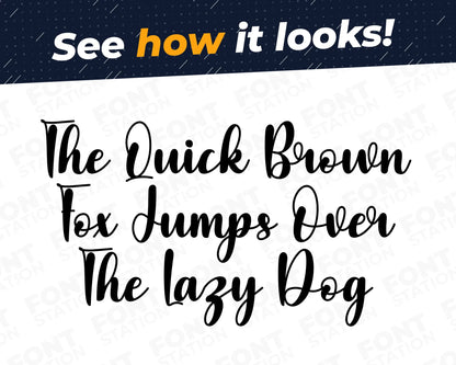 A complete showcase image of the Billiard font, featuring the text 'The quick brown fox jumps over the lazy dog' to display every letter of the alphabet.