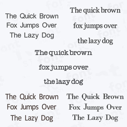 Text sample with various fonts and styles on a white background