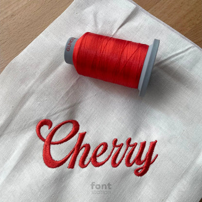 Image showing a word embroidered on textile using the Delicious embroidery font created by FontStation