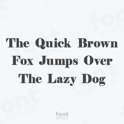 Elegant Bold Embroidery Font